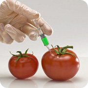 Пищевая аллергия Пищевая аллергия